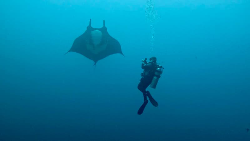 Scuba diving in Orange County with Scuba Life