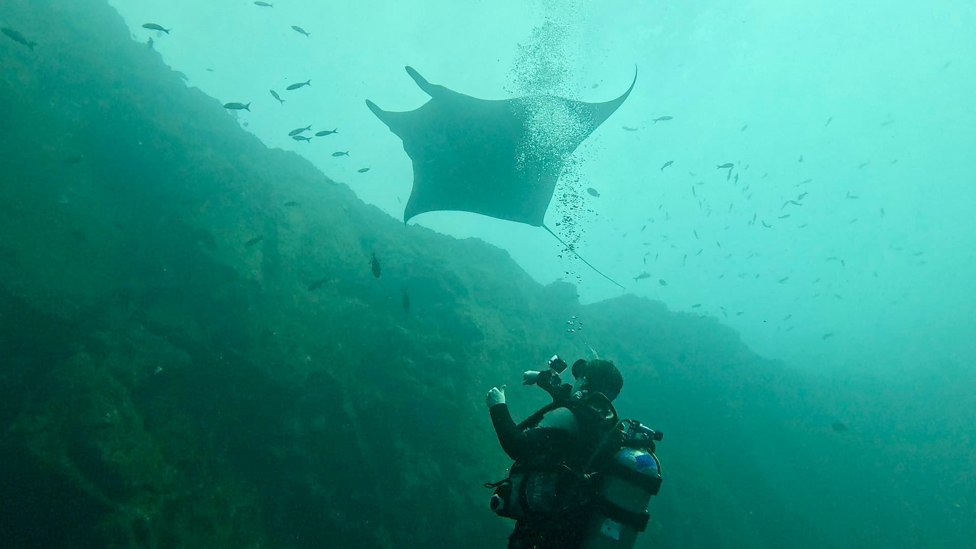 Advanced Open Water (5 Dives)