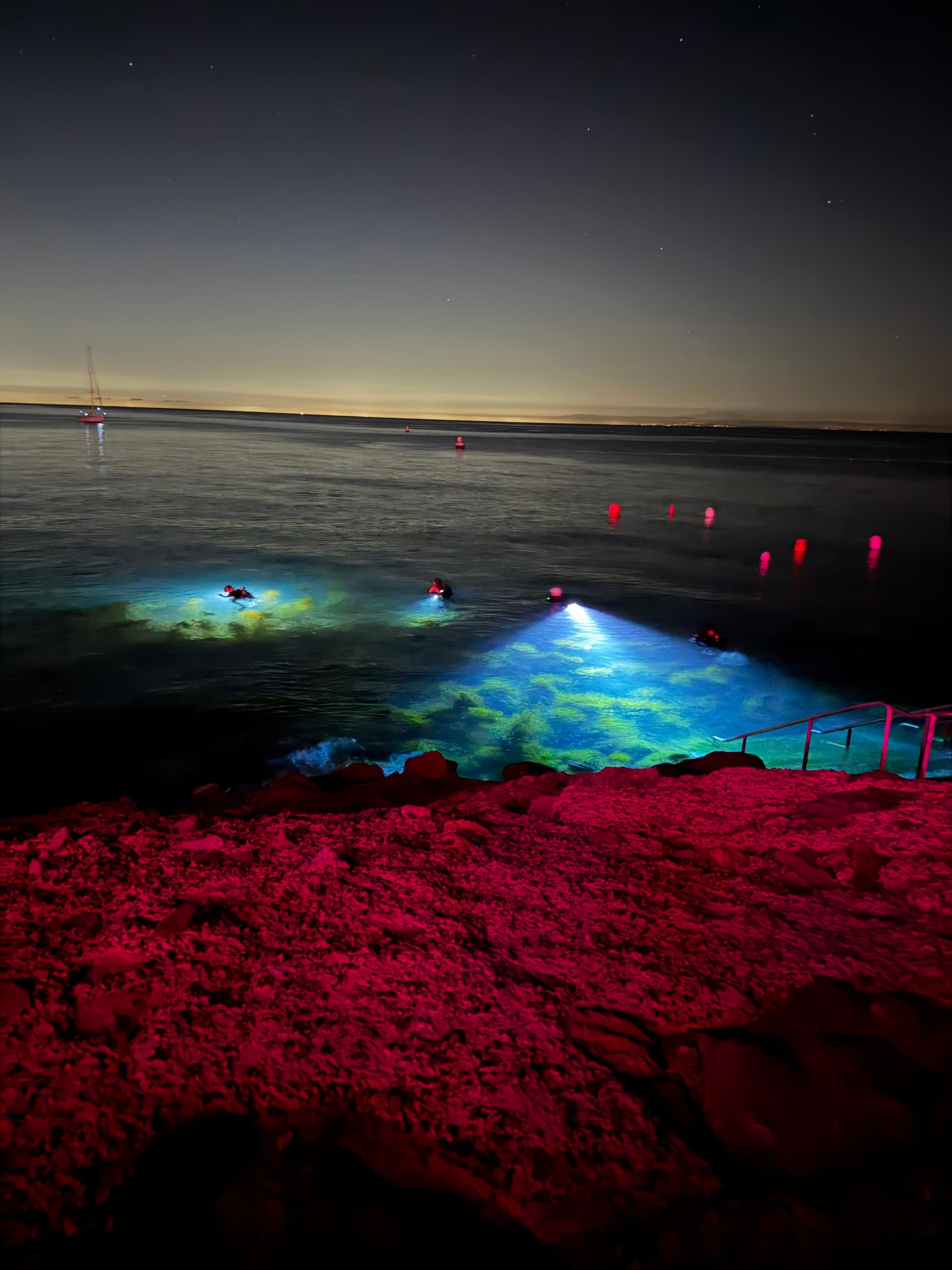 Advanced Open Water Diver training with Scuba Life at Catalina Island
