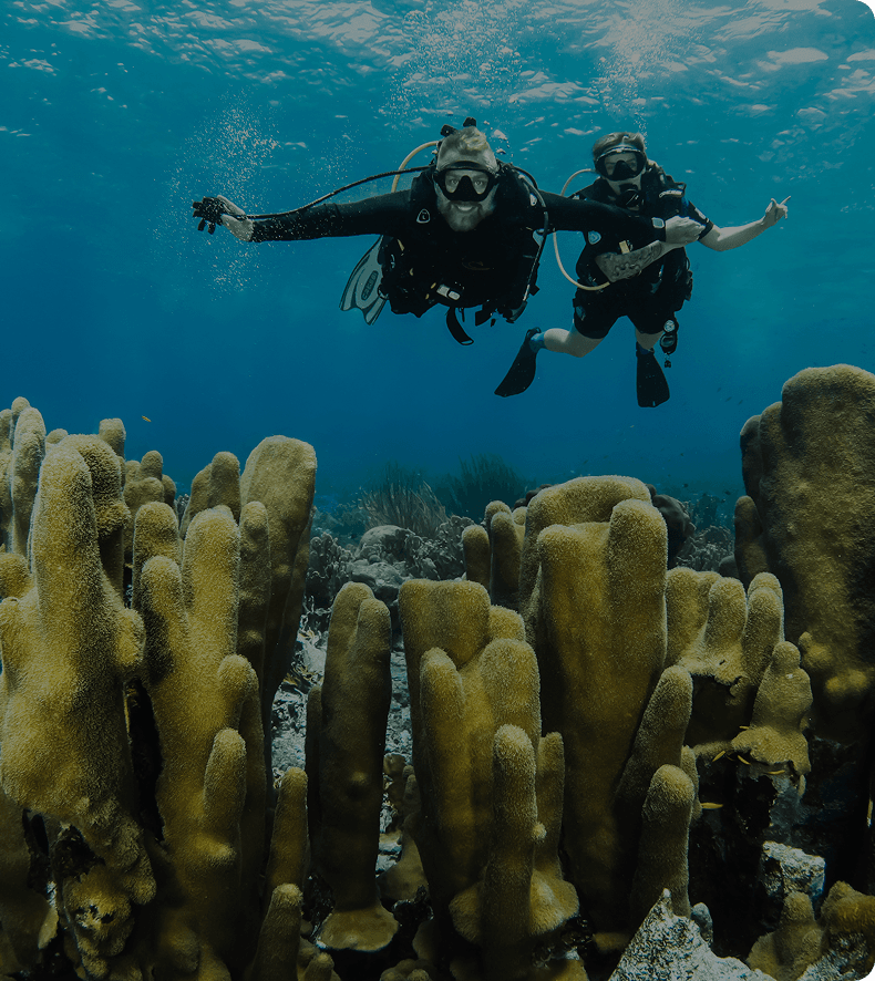 Scuba Life team support