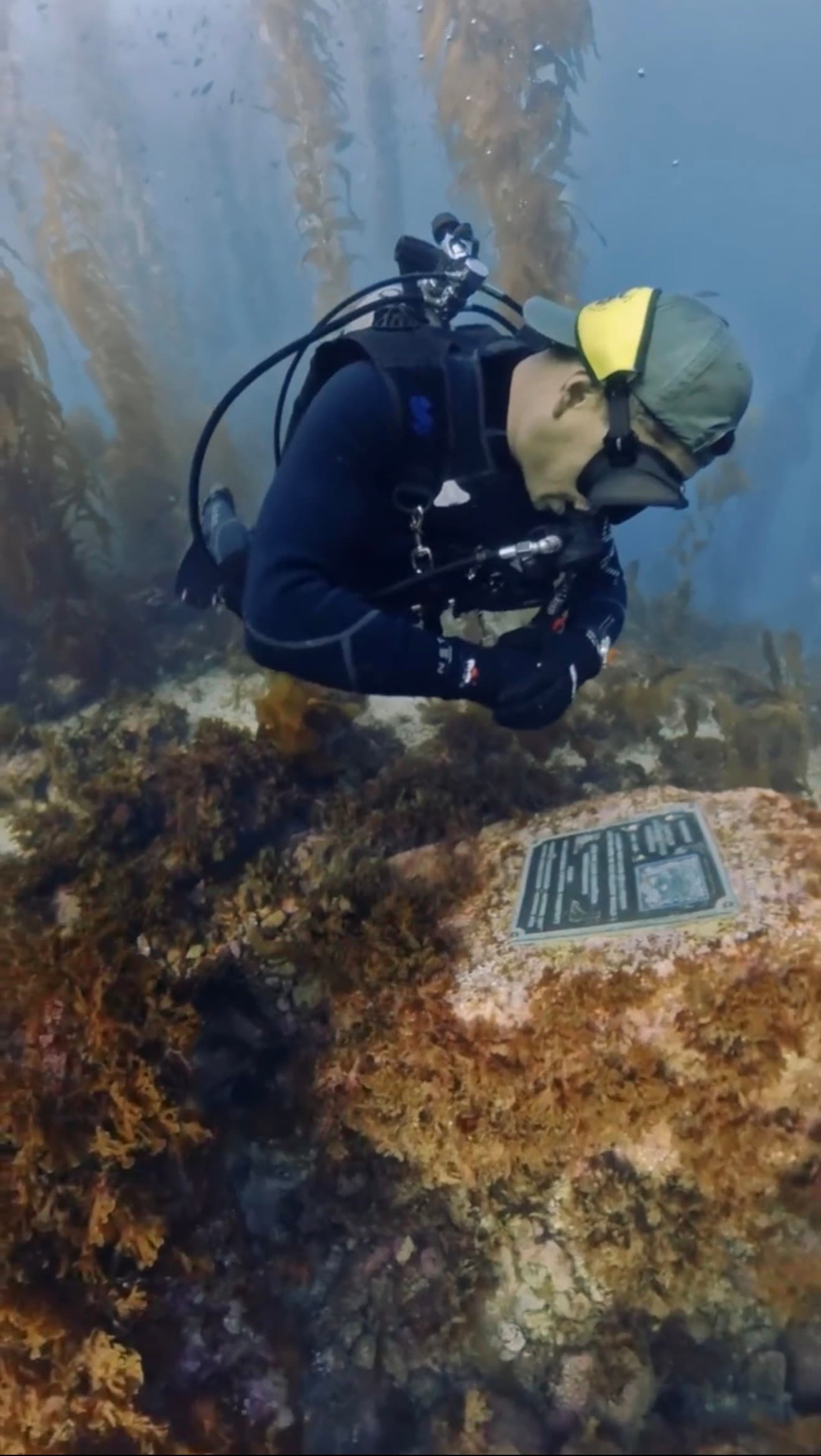 Open Water Diver certification course with Scuba Life