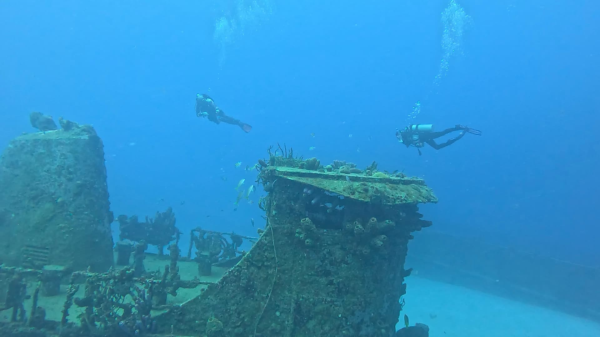 Deep Diver Specialty