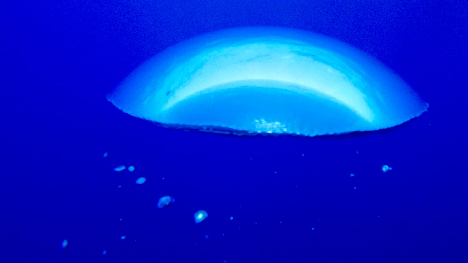 Discover Scuba Dive